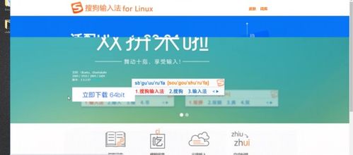 白帽子黑客與網(wǎng)絡安全工程師視角 Kali Linux與Windows軟件管理的異同